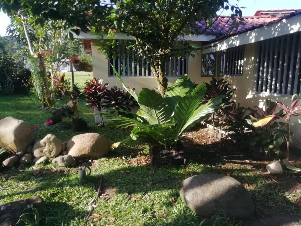 Casa Sophia 3 Listings Apartment 1 Or Apartment 2 Separately Or Apt 1 And 2 Together All With Fo Internet Guápiles 外观 照片
