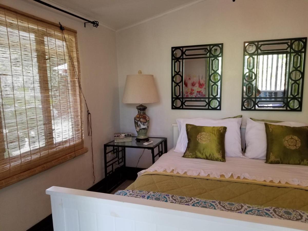 Casa Sophia 3 Listings Apartment 1 Or Apartment 2 Separately Or Apt 1 And 2 Together All With Fo Internet Guápiles 外观 照片