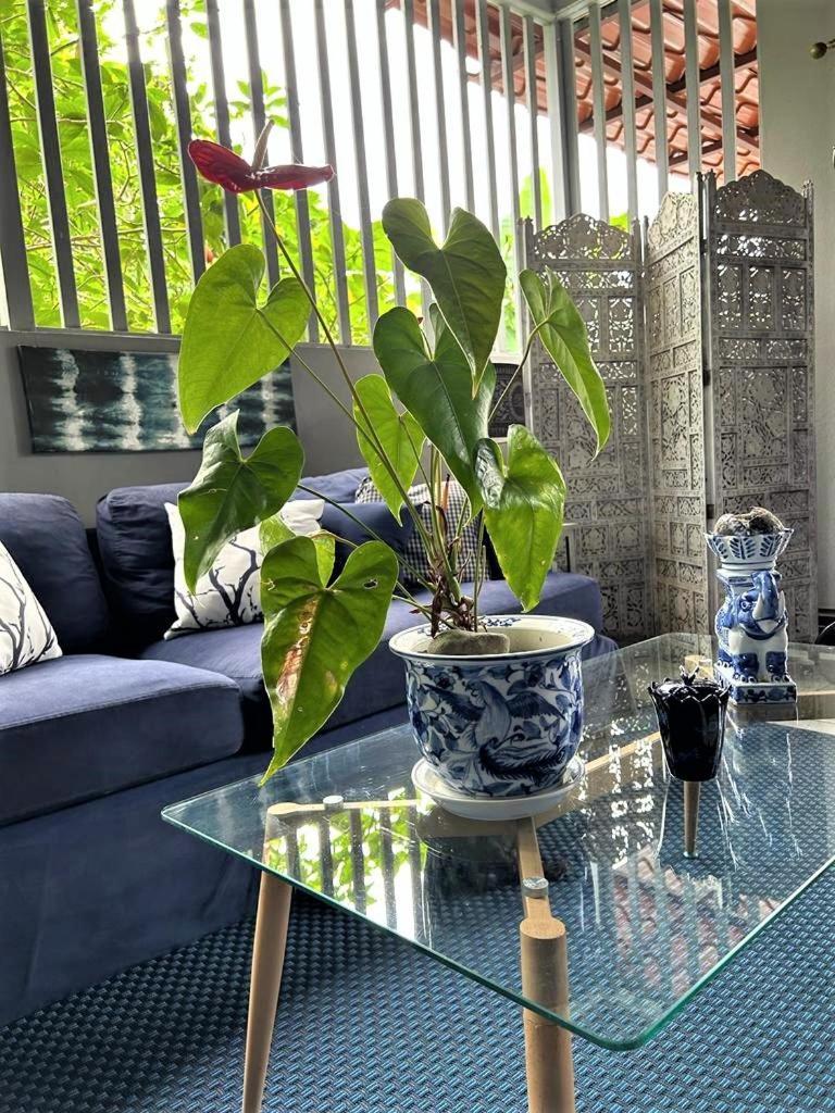 Casa Sophia 3 Listings Apartment 1 Or Apartment 2 Separately Or Apt 1 And 2 Together All With Fo Internet Guápiles 外观 照片